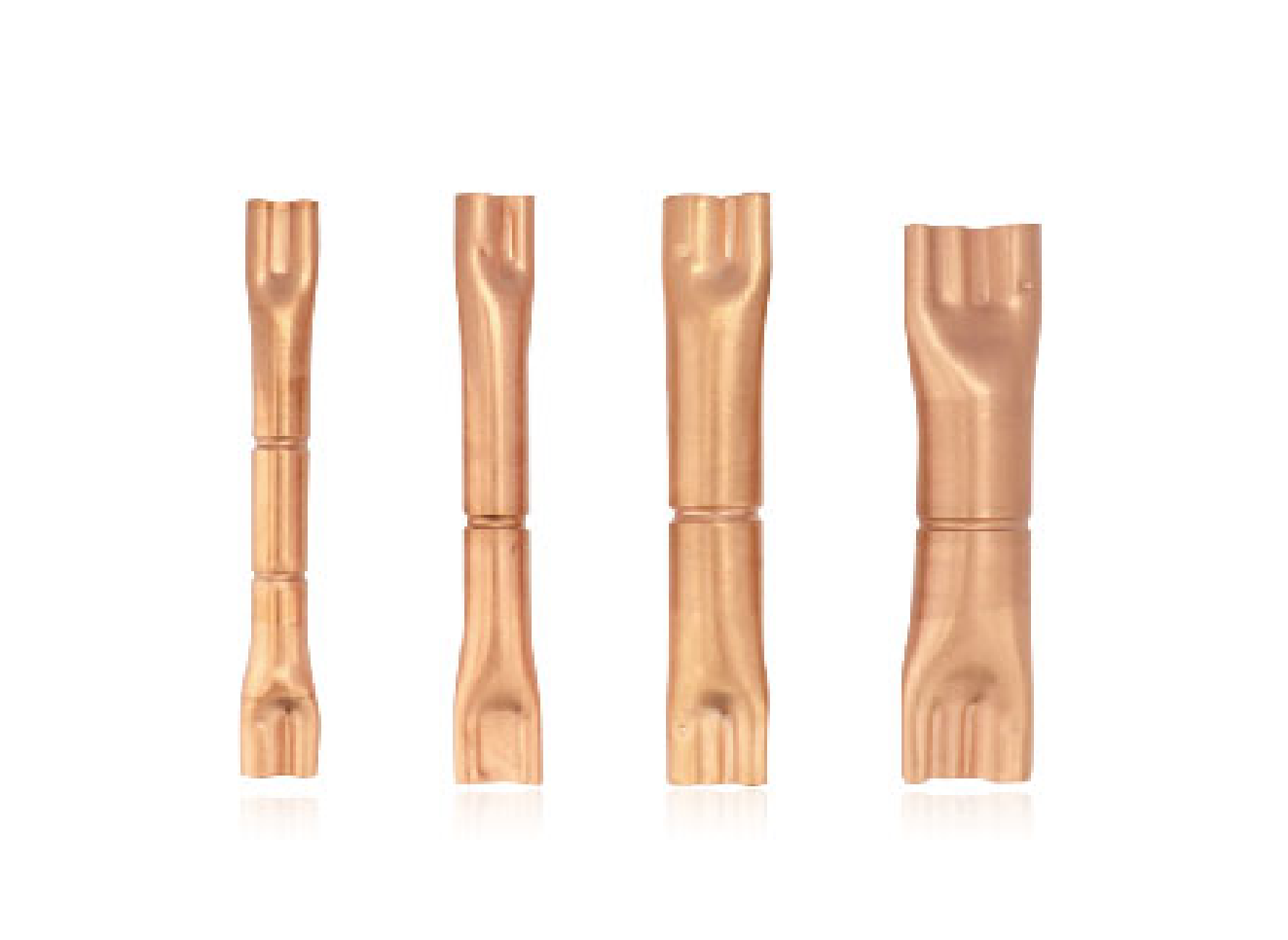 Gangli check valve