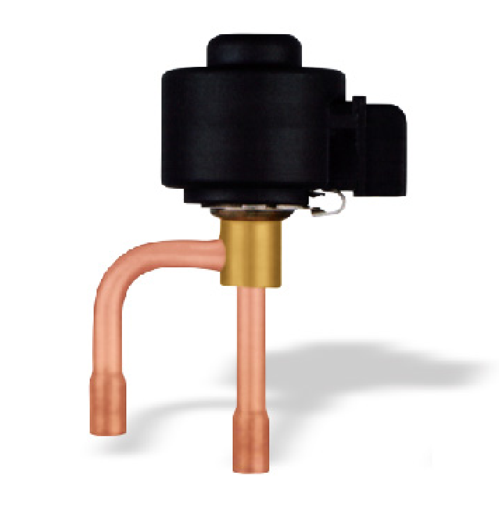 Gangli electronic expansion valve