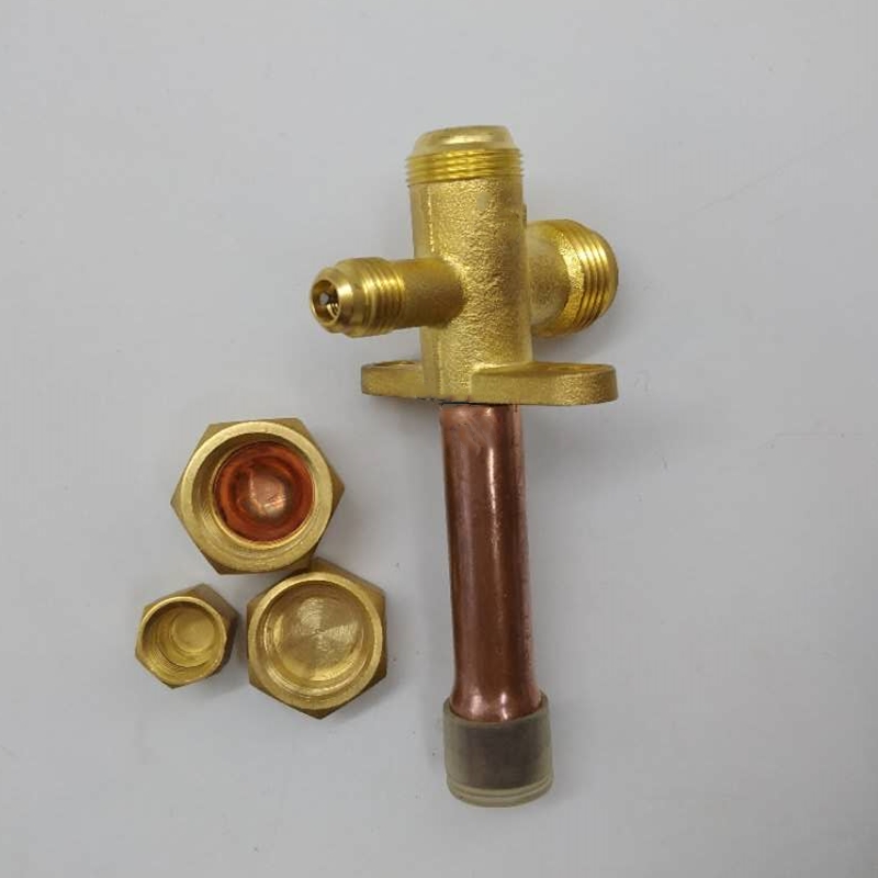 Gangli service valve
